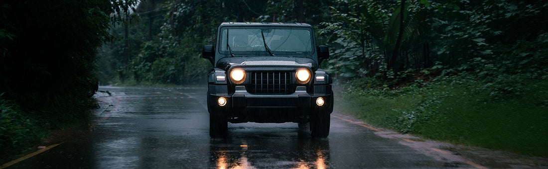 THE ULTIMATE MONSOON CAR CARE GUIDE (LIKE A PRO)