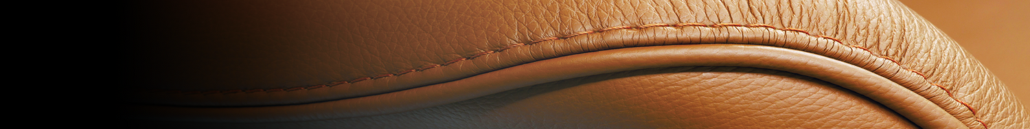 Leather Care