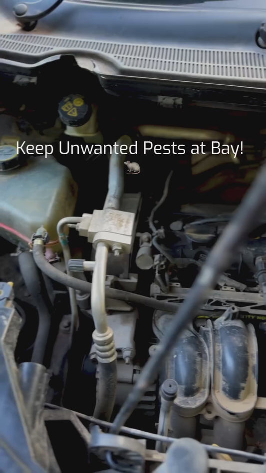 Quick video of how to use rat repel and the highlights of the product